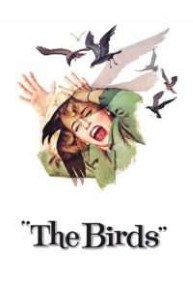 the birds 2234 poster