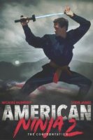 american ninja 2 the confrontation 6087 poster