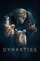 dynasties 19573 poster