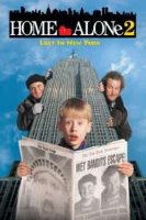 home alone 2 lost in new york 2883 poster