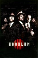 hoodlum 9816 poster