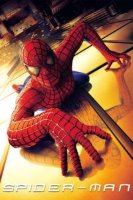 spider man 12496 poster