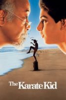 the karate kid 5279 poster