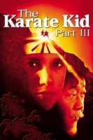 the karate kid part iii 6428 poster