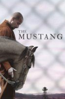 the mustang 20725 poster