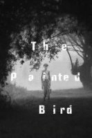 the painted bird 20717 poster