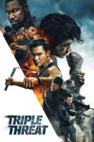 triple threat 20004 poster