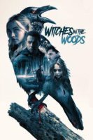 witches in the woods 19826 poster