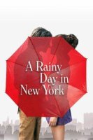 a rainy day in new york 23177 poster
