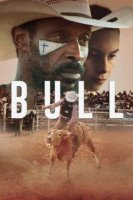 bull 22674 poster