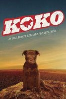 koko a red dog story 21800 poster