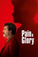 pain and glory 21368 poster