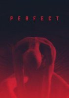 perfect 21305 poster