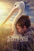 storm boy 20900 poster