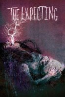 the expecting 26367 poster