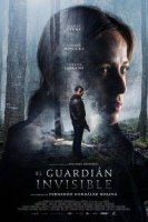 the invisible guardian poster