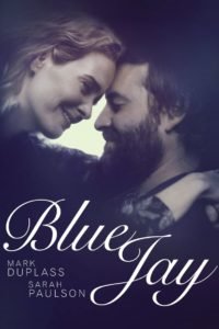 blue jay poster
