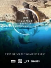 planet earth a celebration poster