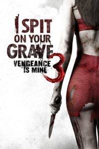 i spit on your grave iii vengeance is mine poster