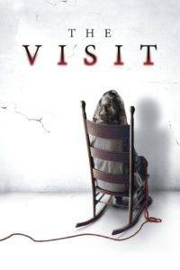 the visit poster