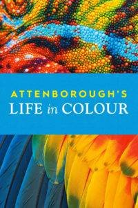 attenboroughs life in colour poster